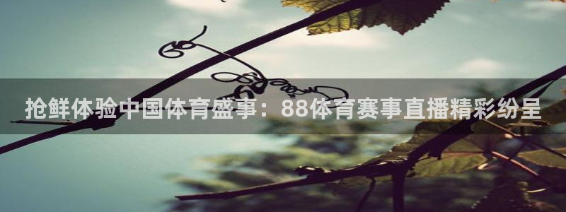 抢鲜体验中国体育盛事：88体育赛事直播精彩纷呈