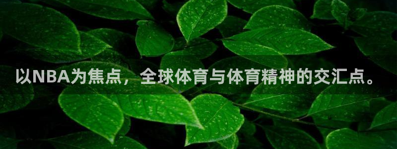以NBA为焦点，全球体育与体育精神的交汇点。